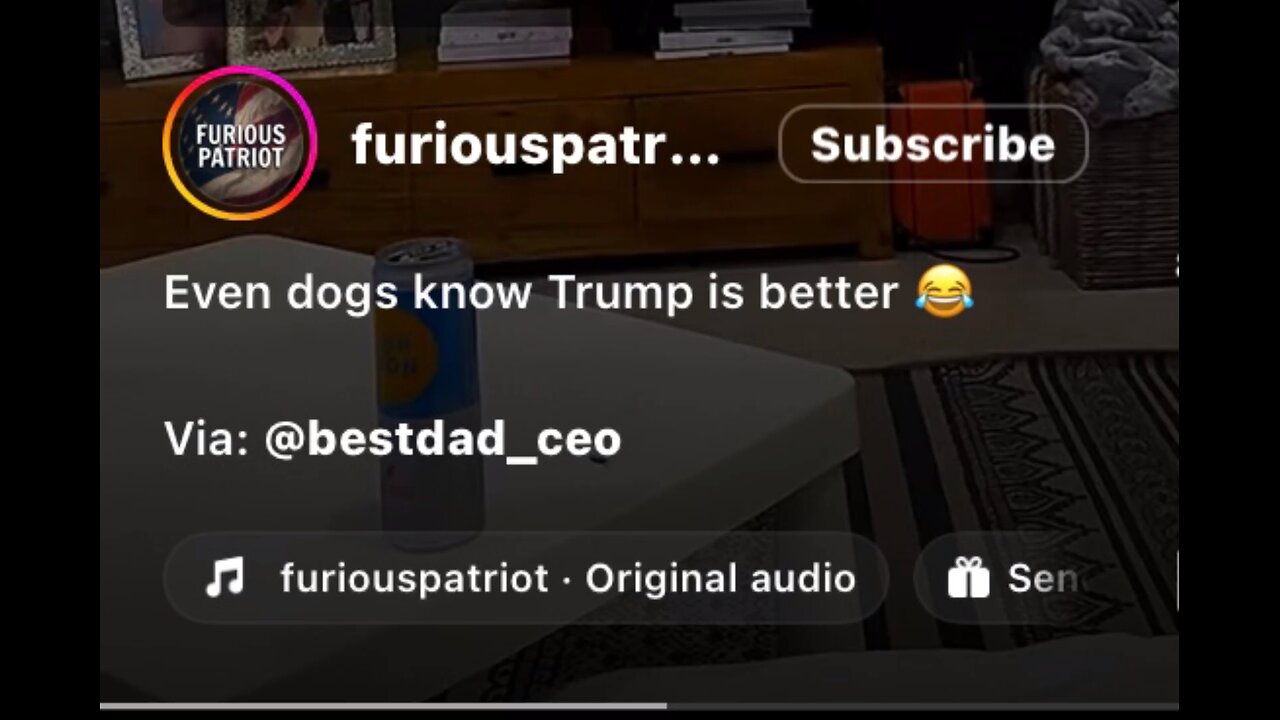 Captioned - Even dogs know Trump is better 😆