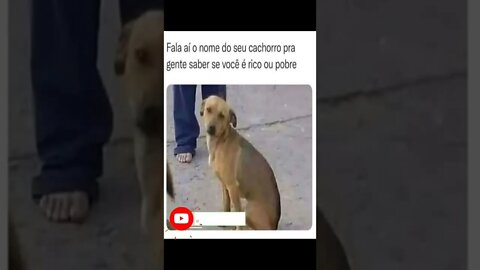 Seu Cachorro #shorts