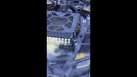Beast rises out of the mist.