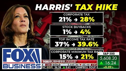 'DANGEROUS': Economist explains what Kamala Harris tax plan means for you