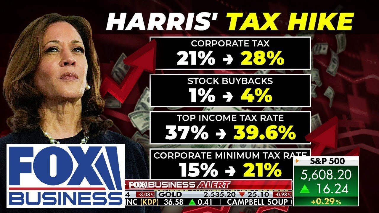 'DANGEROUS': Economist explains what Kamala Harris tax plan means for you