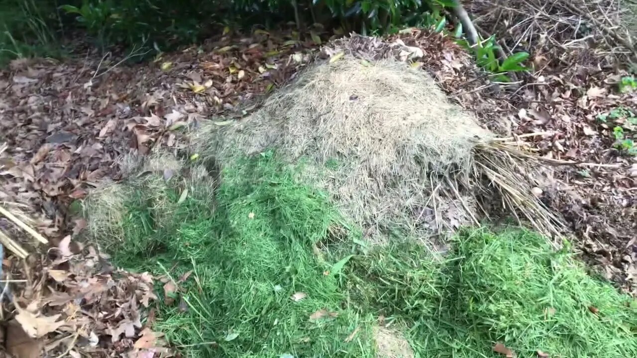 Working on a backlog of compost materials | Homestead chores