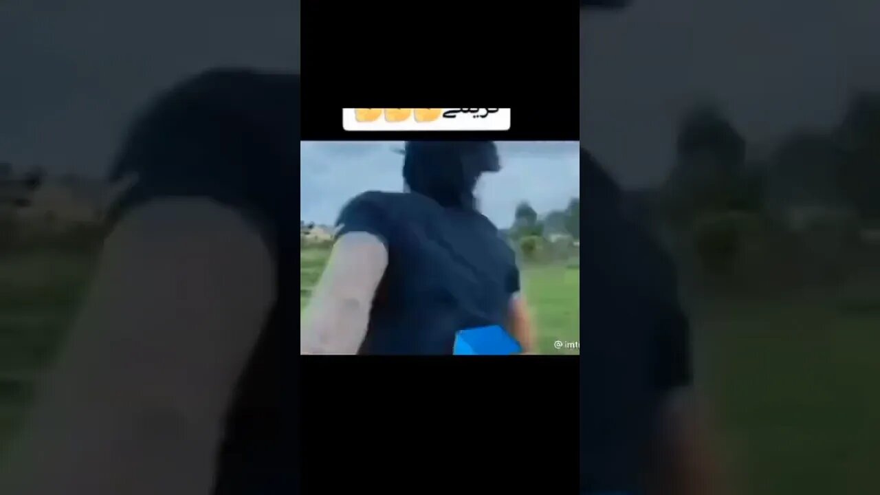 Fight 🤣