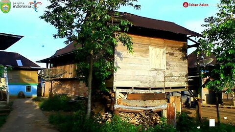 *DANA GAMBUS* DENALI / GITAR TUNGGAL BATANGHARI SEMBILAN SUMATERA SELATAN 1978 DAERAH PRABUMULIH