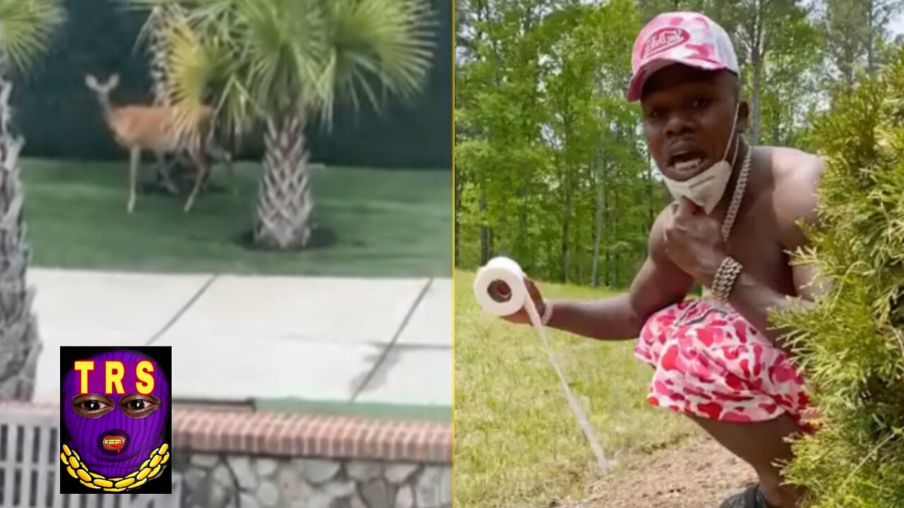 DaBaby Gets Into It With A Deer That Trespasses In His Yard! "Put Dat Fire On Em