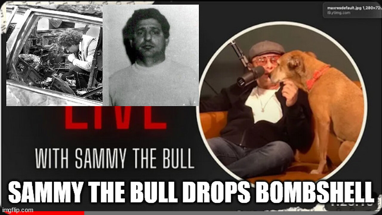 Sammy the Bull Drops Bombshell on the Frankie DiCicco Hit