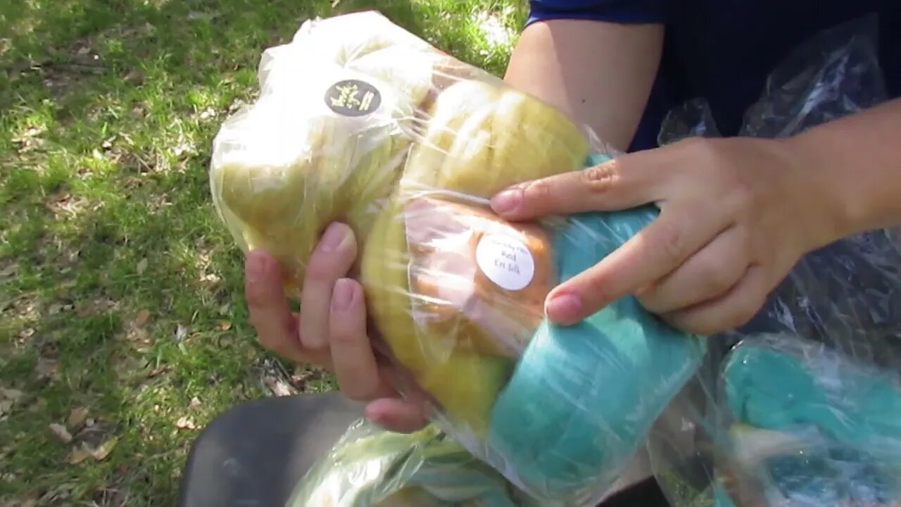 Unboxing Napa Valley Fiber April 2022 Kit