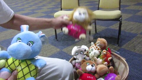 Timothy Tansey shows us the Fruits of the Spirit Stuffed Animals from the book