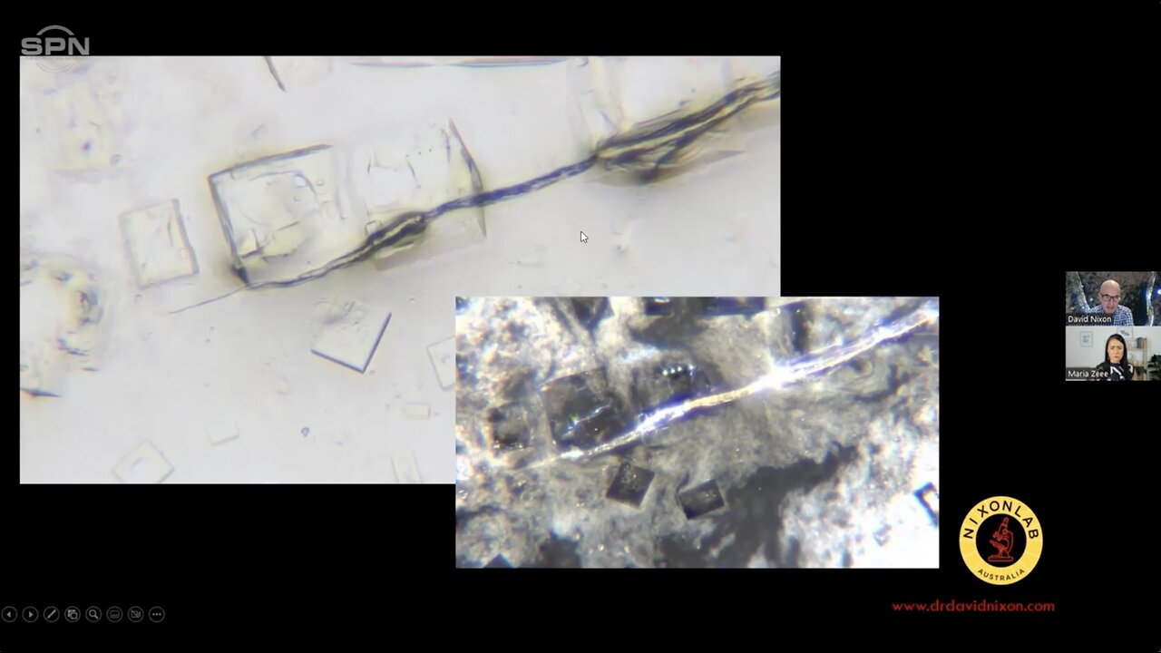 Dr. Nixon - Major Chain NANOTECH MEAT