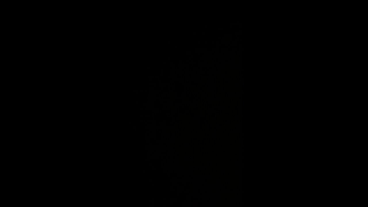 Chinese connection to Biden