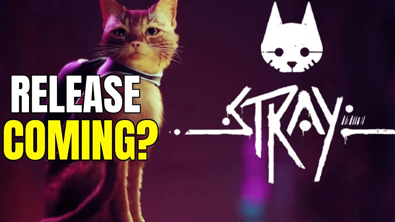 Stray Release Date Coming? - Officially Rated In Korea