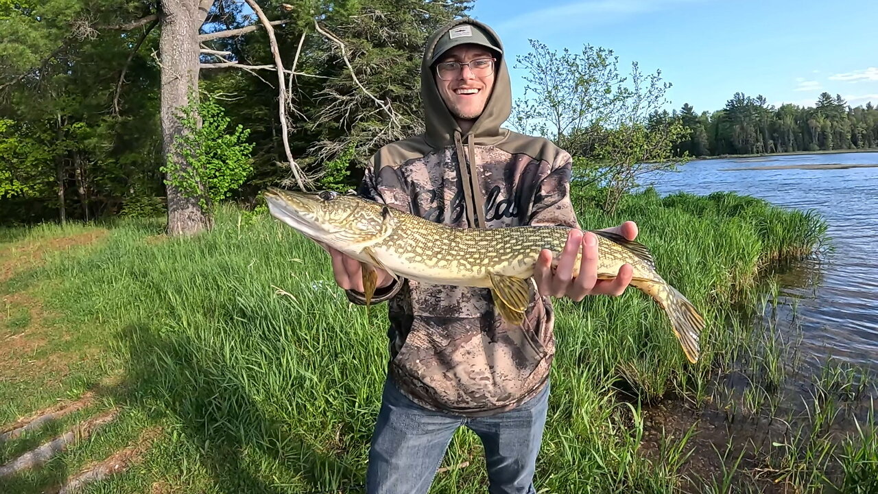 Michigan: Our Favorite Northern Pike Lake (Topwater Action)