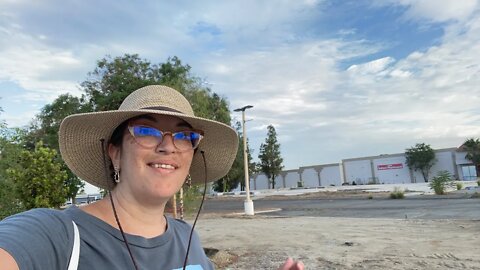 Walking and Talking Livestream