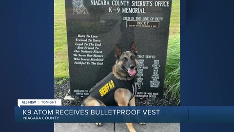Niagara County Sheriff's K9 receives new body armor