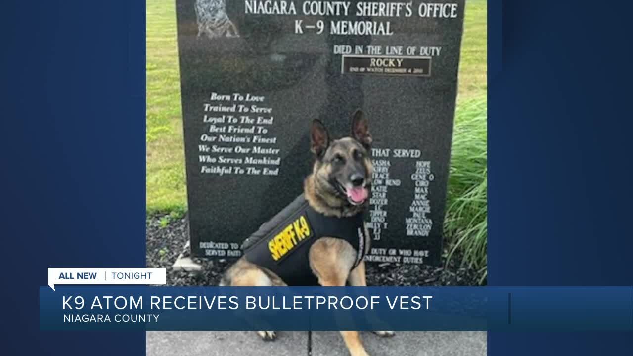 Niagara County Sheriff's K9 receives new body armor