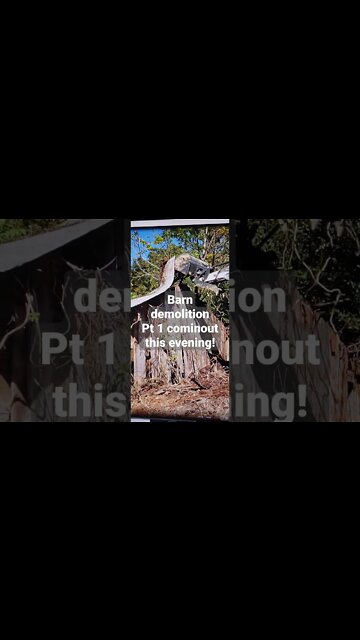 Another Southern Illinois old barn demolition and pick!! Bobcat R series mini excavator action.