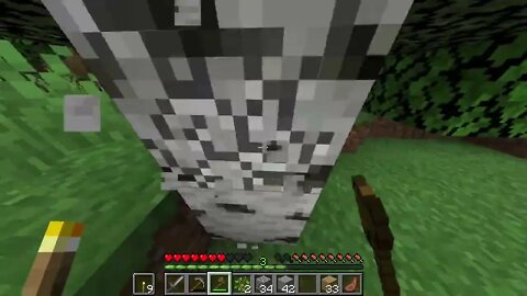 IMAGINE DYING - hardcore minecraft