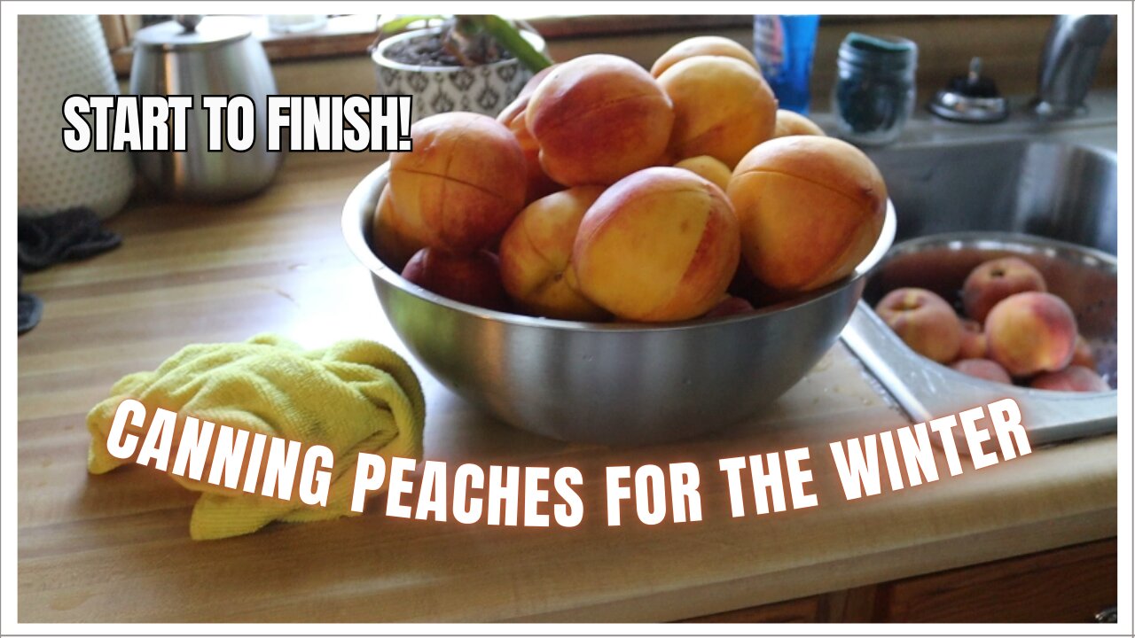 Every Year I Can Peaches For The Winter!