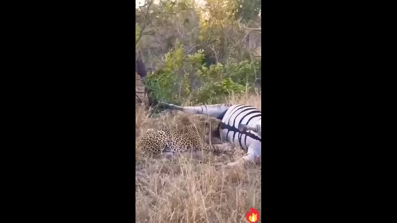 that's crazy