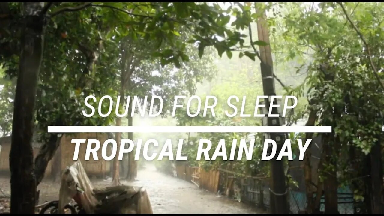 Sound for sleep Tropical Rain Day 3 hours