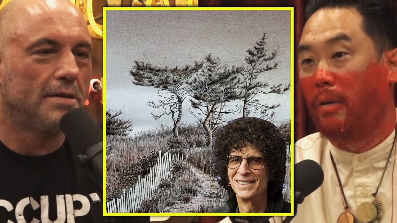 Howard Stern's Focus on Art Hindered his Broadcasting Skills