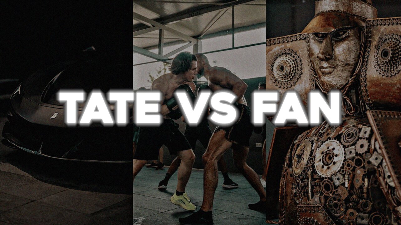 Tate vs Fan | Tate Edit