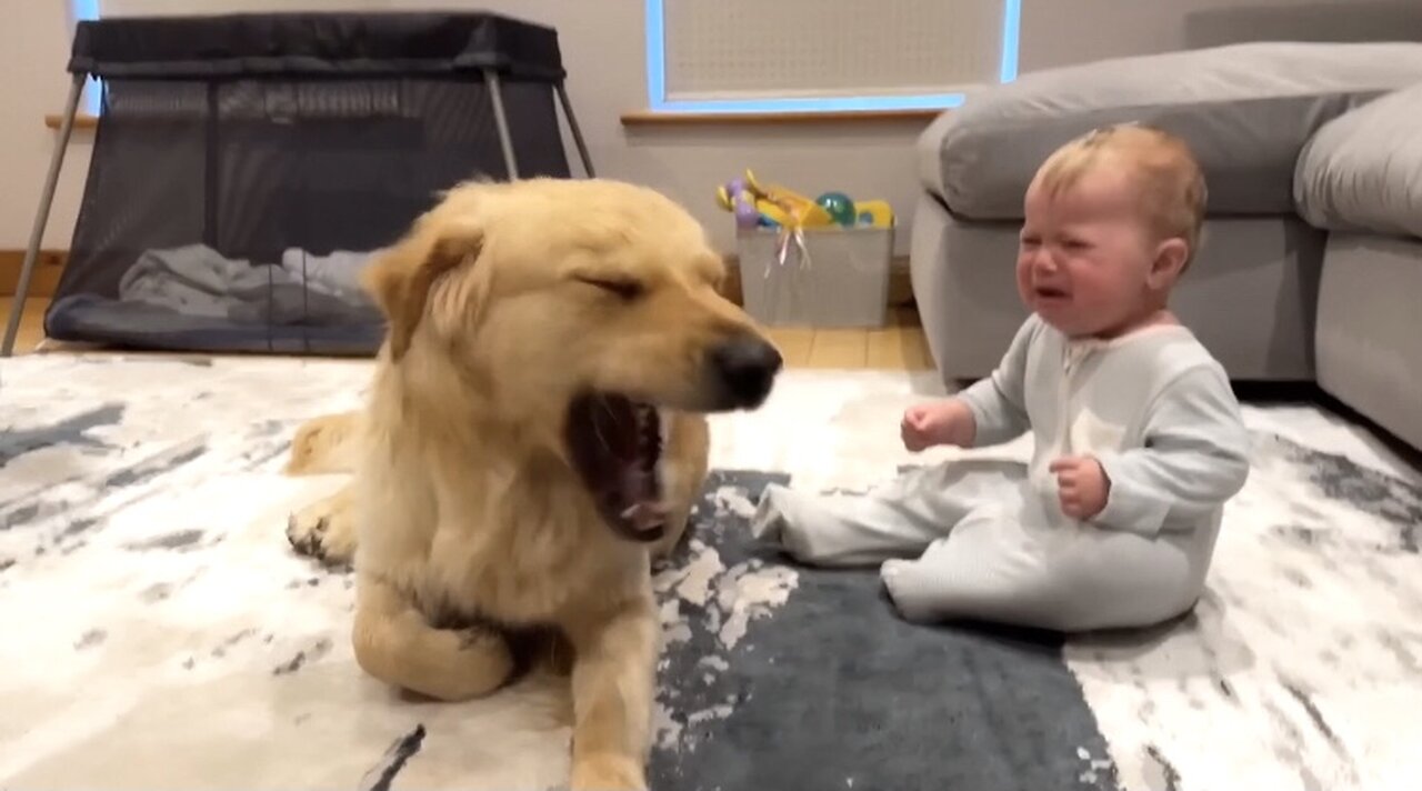 He made my baby cry 🥲