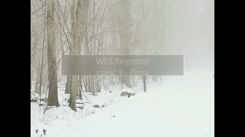 Chłopi - Wł.S.Reymont część II - Zima rozdz.6