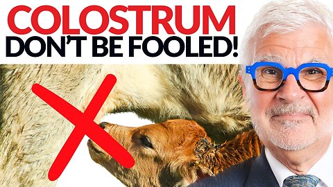 Stop Wasting Your Money on Colostrum Supplements! | Dr. Steven Gundry