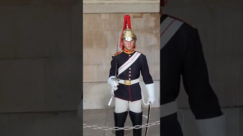 the Queen's life Guard the blues and royals #horseguardsparade