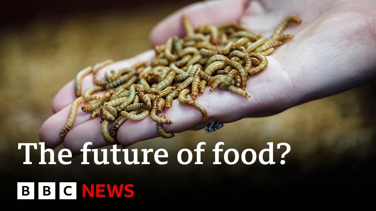 How the food we eat impacts the planet _ Future Earth _ BBC News