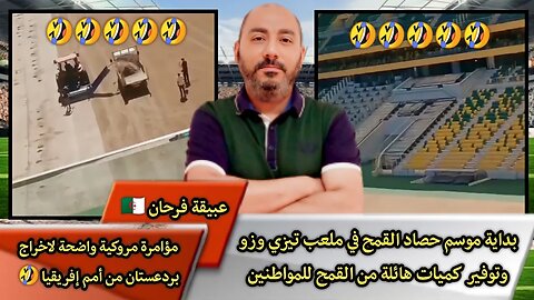 بداية موسم حصاد القمح في ملعب تيزي وزو وتوفير كميات هائلة من القمح للمواطنين