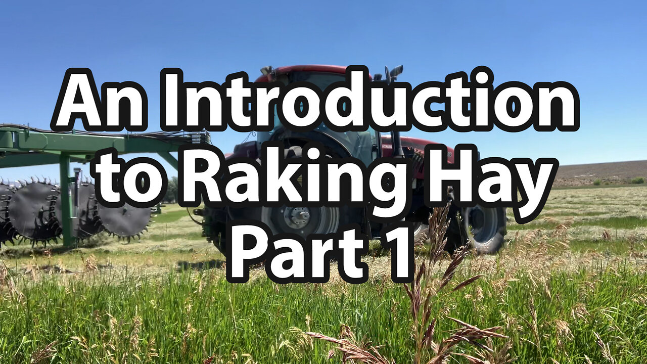 An Introduction to Raking Hay (Part 1)