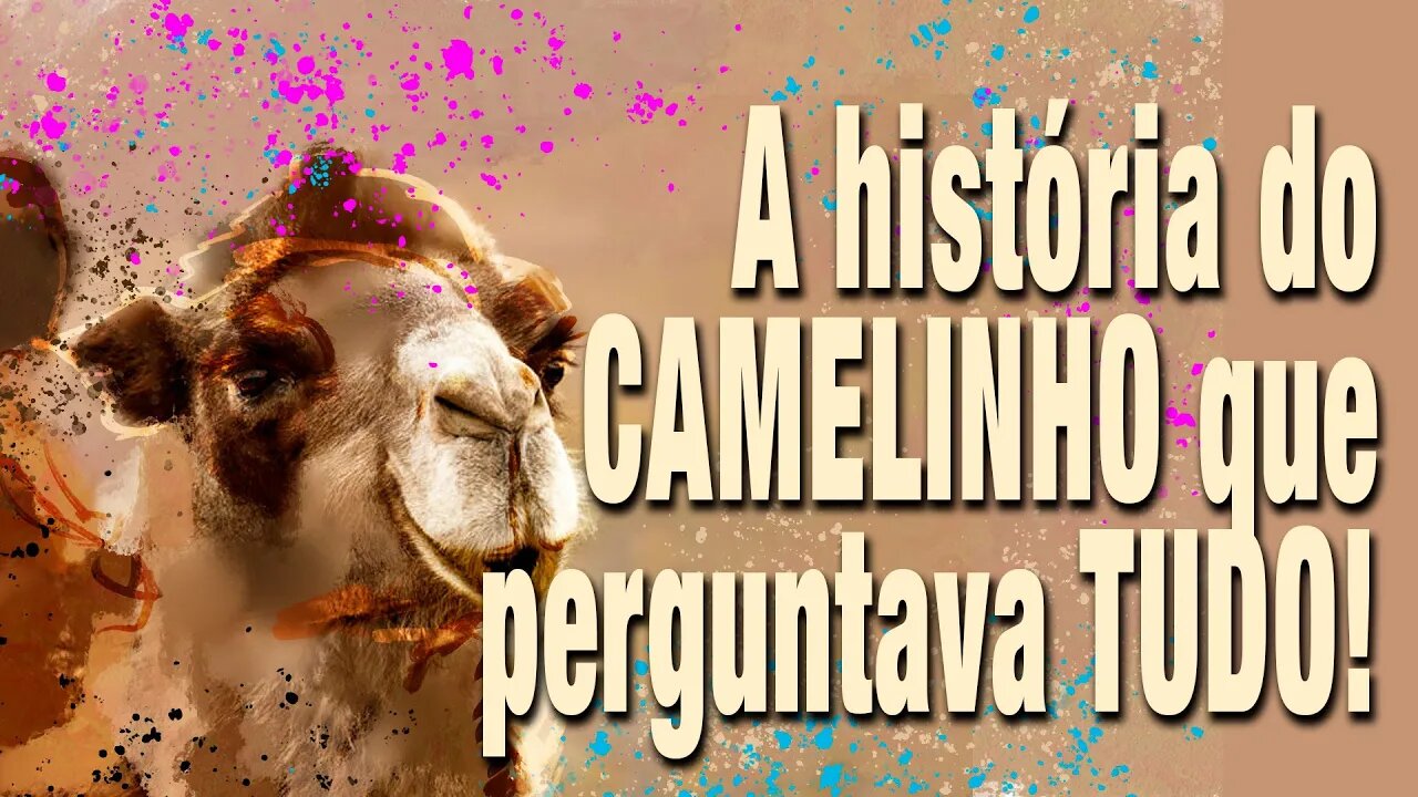 A história do lindo filhote de camelo que perguntava TUDO - Minuto da Metáfora