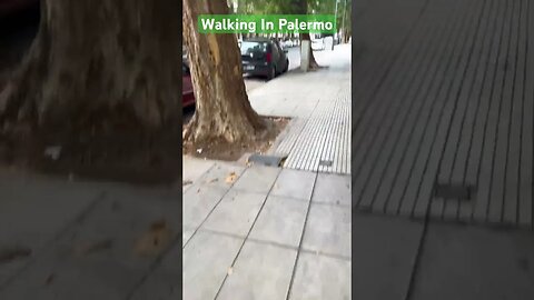 Walking In Palermo, Buenos Aires #shorts