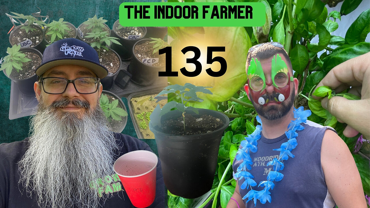 The Indoor Farmer ep135! Making Health & Sustainability Cool Again