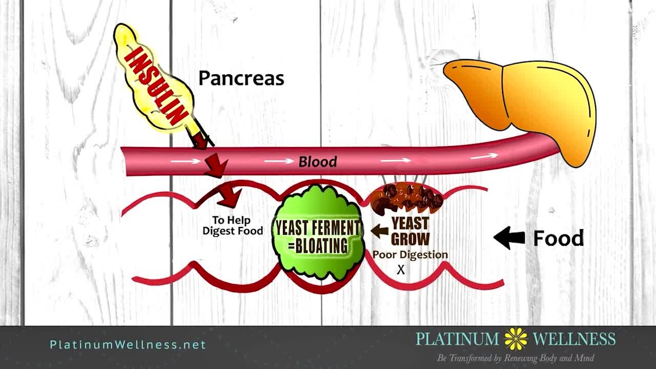 Need to lose some weight? Platinum Wellness can help!