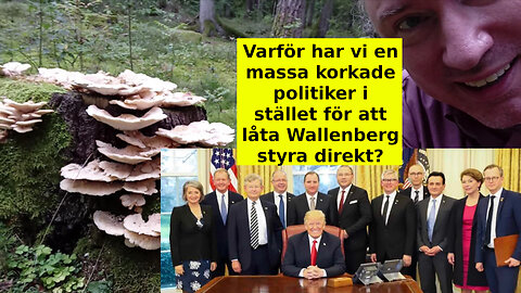 Tips på skräckpropaganda. Ledarlös kapitalism och politik; dags för statsminister Marcus Wallenberg?