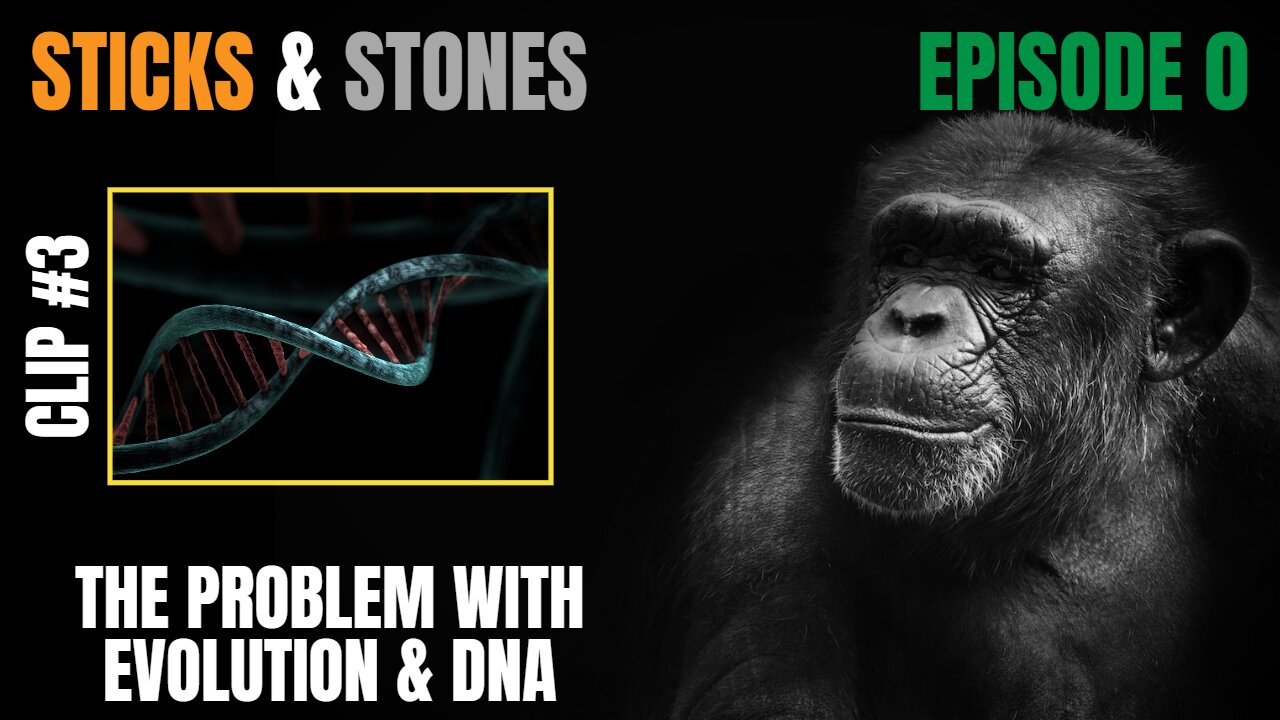 EPISODE 0 - CLIP #3 - The Problem With Evolution & DNA