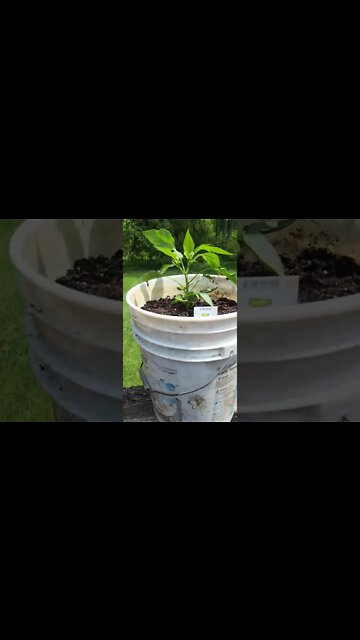 Do me a favor and don't die...