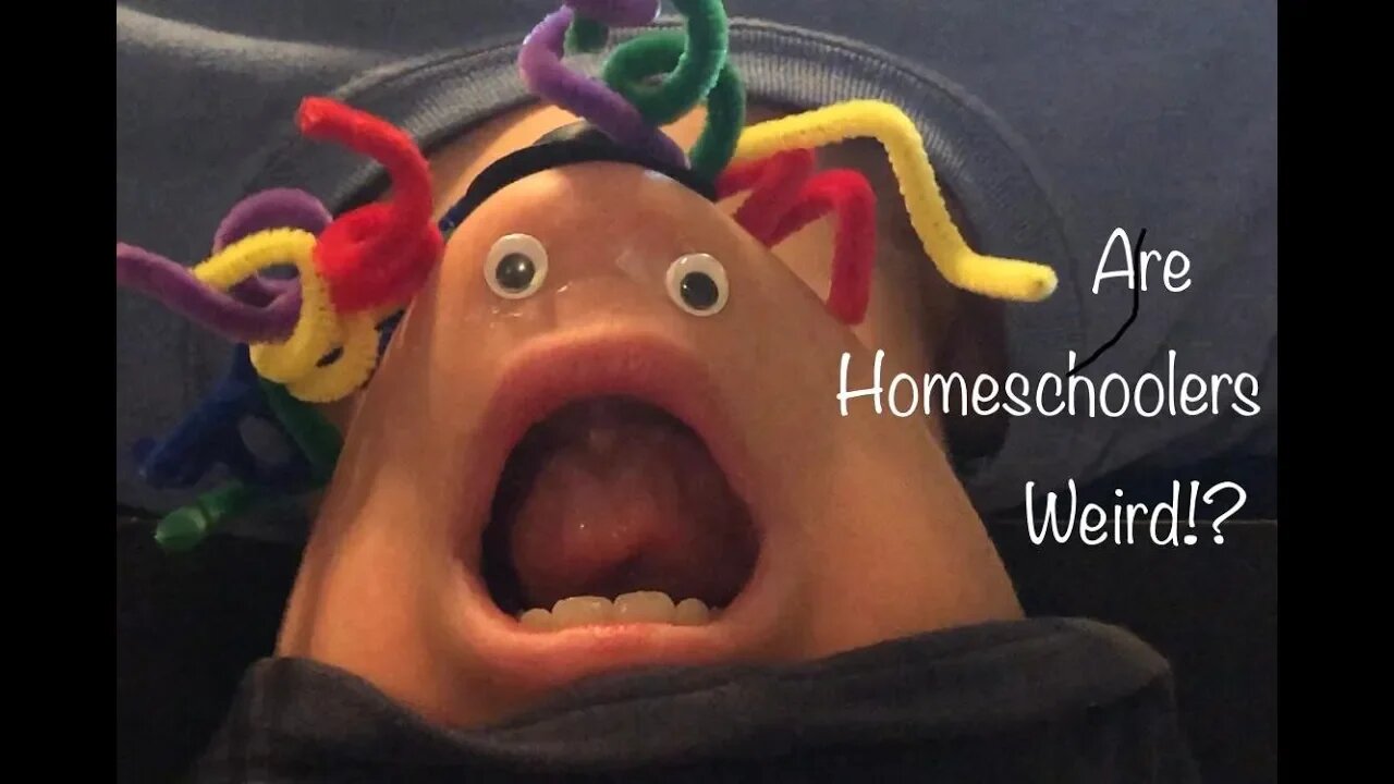 Are Homeschoolers Weird?! Homeschool According to Austyn