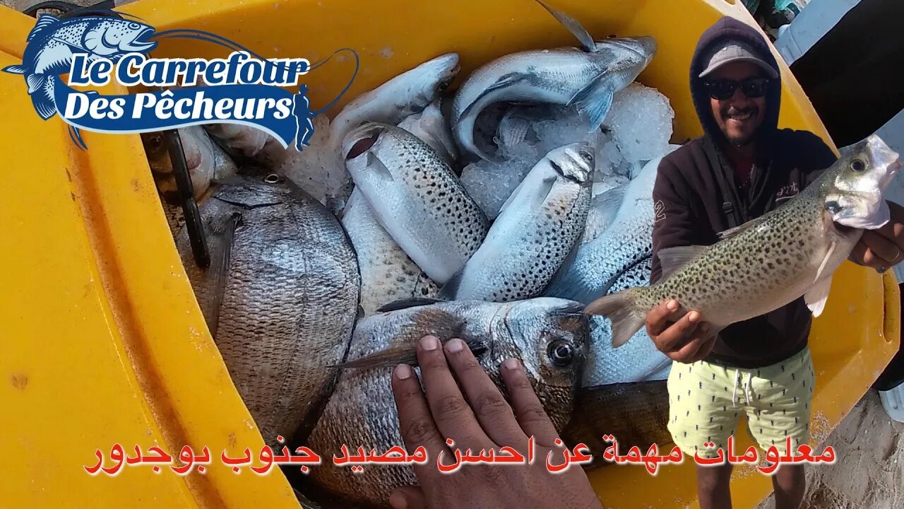 المعنى الحقيقي لرحلة صيد السمك 😁 مصيد مخلط اللهم بارك، من كل فن طرب 🐟🎣 (اعادة نشر)