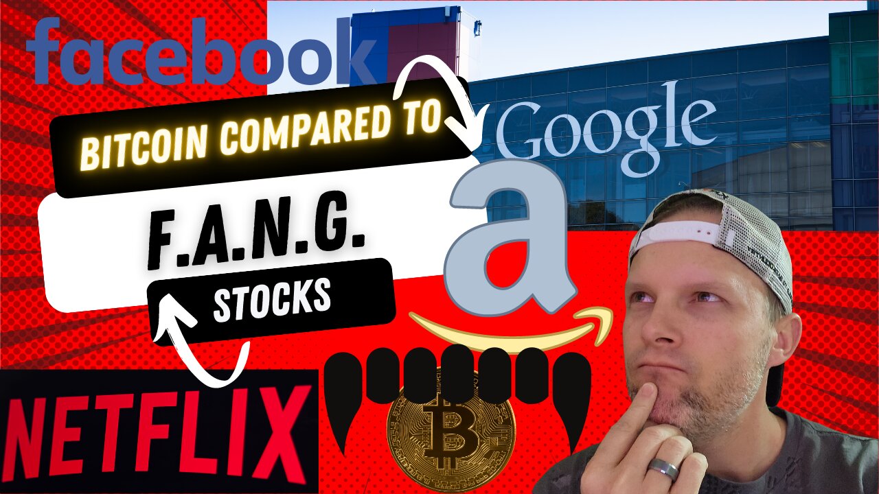 CRYPTO's CRAZY Volatility. How DOES Bitcoin CAMPARE TO FANG STOCKS? #bitcoin