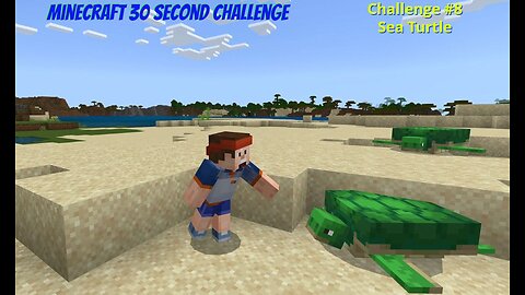 Minecraft 30 Second Challenge - Challenge 8 - Sea Turtle