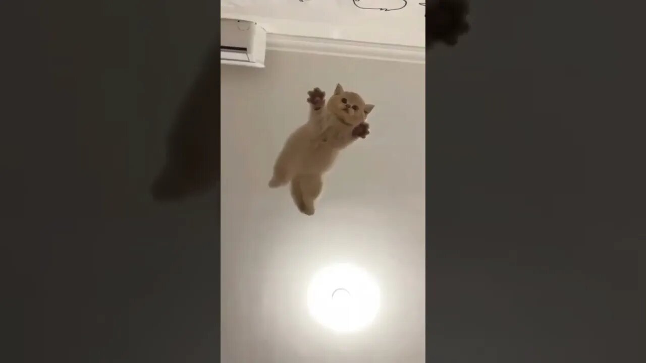 🥰😂🥰😂😂