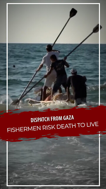 Dispatch from Gaza: Fishermen risk death to live