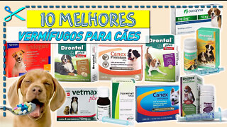 10 Melhores Vermífugos para Cães