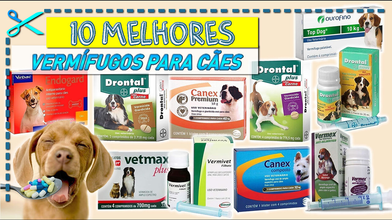 10 Melhores Vermífugos para Cães