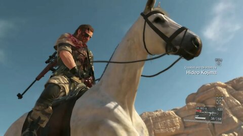 MGS 5 Part 5-The Honey Bee