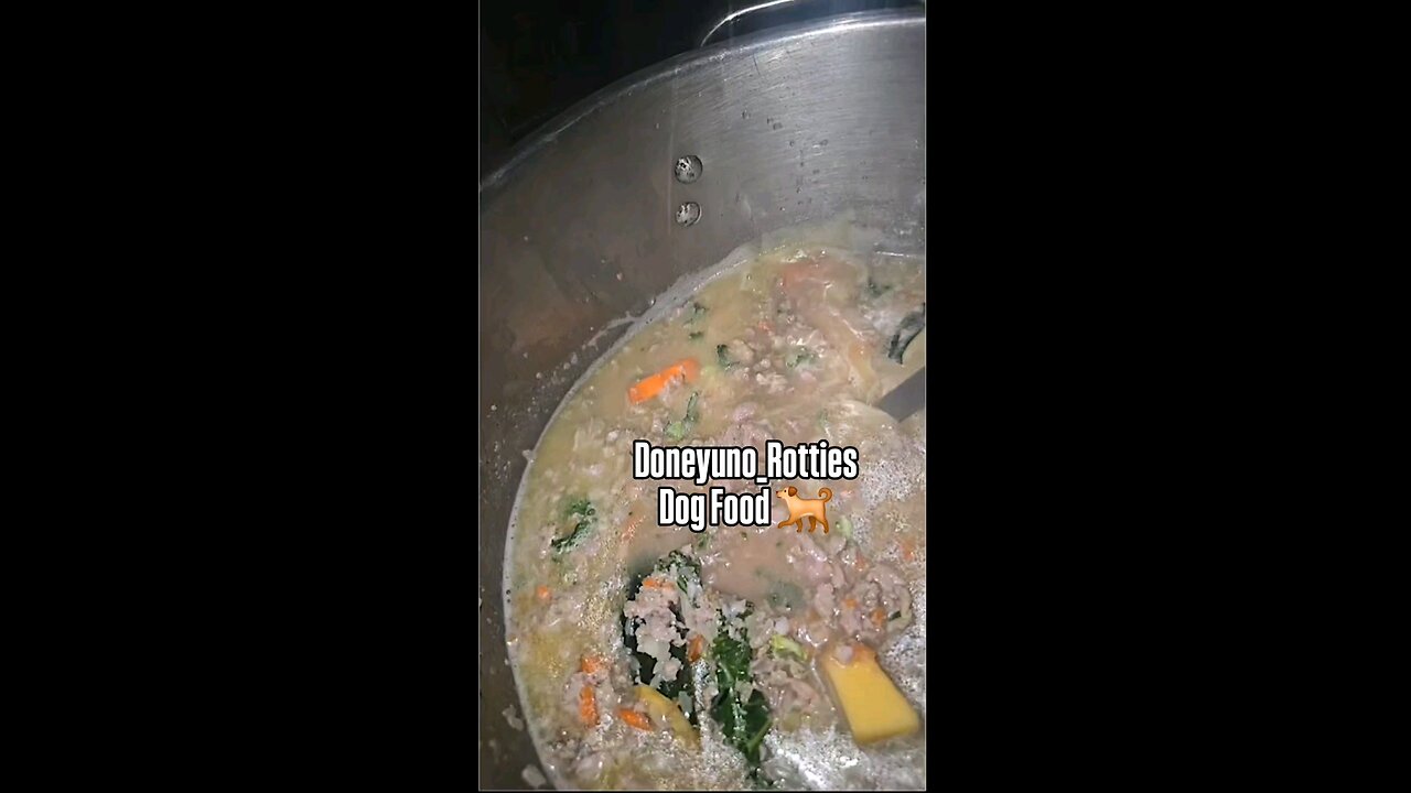 Dog Food